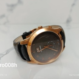 Montre Rodania Homme RO008H