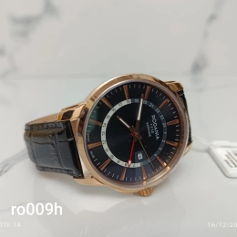 Montre Rodania Homme RO009H